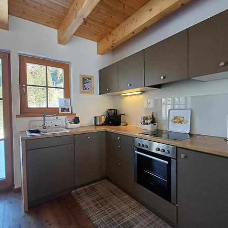 Tauerndorf Enzingerboden Ski In&Out - Steinbock Lodges Екстер'єр фото
